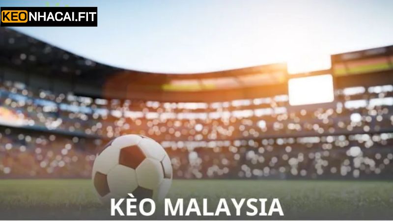 Phương pháp đọc tỷ lệ kèo Malaysia đơn giản tại Kèo Nhà Cái