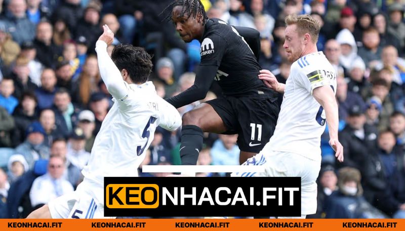Phong độ thi đấu của Tottenham Hotspur vs Leeds United